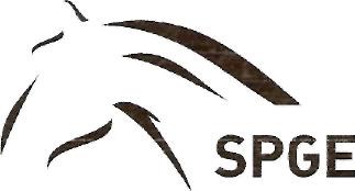 Stichting Paardrijden Gehandicapten Emmen logo